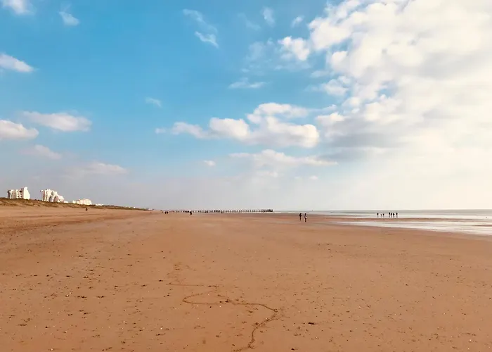 La Garenne, Piscine Et Pinede