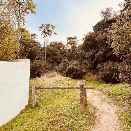 Villa La Garenne, Piscine Et Pinede *