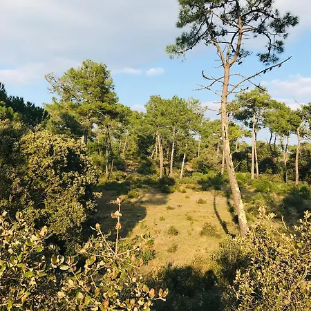 La Garenne, Piscine Et Pinede Villa *
