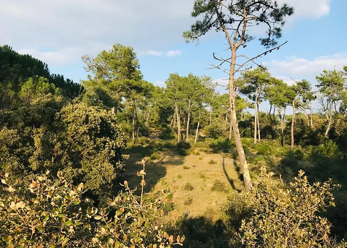 La Garenne, Piscine Et Pinede 빌라 *